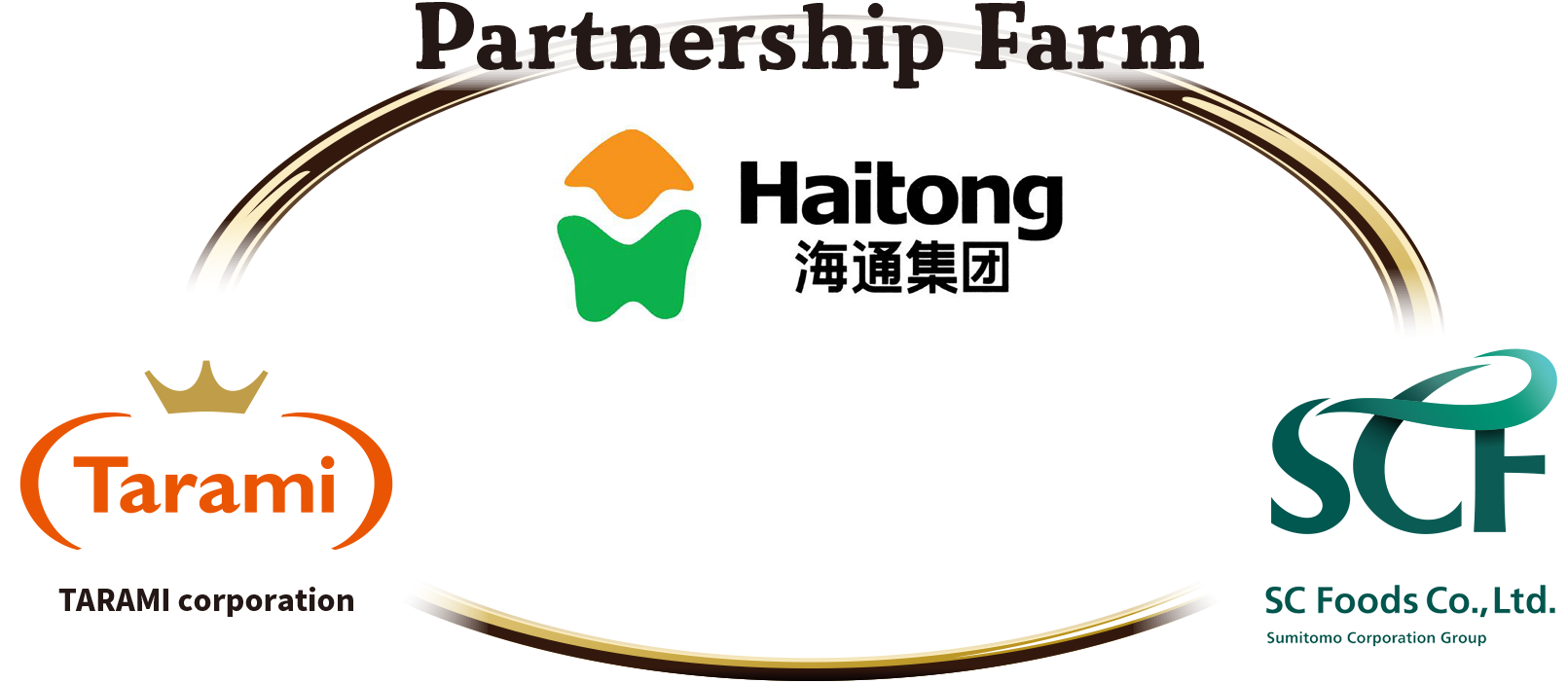 Partnership Farm with an experienced processing company, Haitong Food Group.
