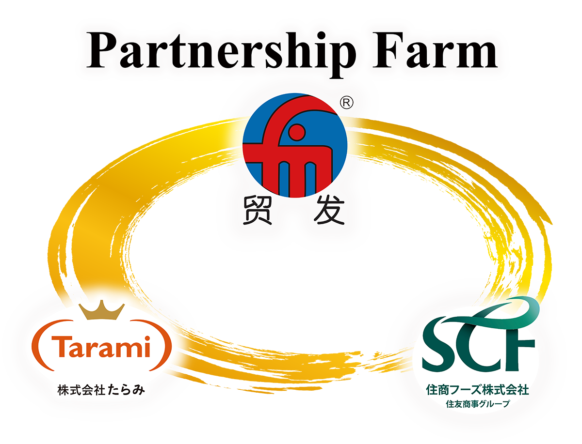 パートナーシップファーム