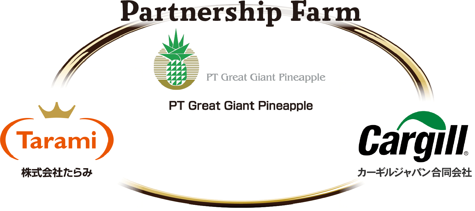 世界最大規模の農園と加工工場を持つ、G G P Cとパートナーシップファーム。